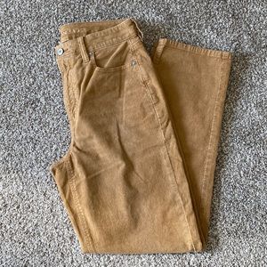 American Eagle Straight Leg Corduroy Pants